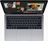 Apple MacBook Air 13” M1 16/256GB MGN93ZE/A/R1|Z12700023 hinta ja tiedot | Kannettavat tietokoneet | hobbyhall.fi