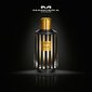 Parfum Mancera Aoud Line EDP miehille/naisille 120 ml hinta ja tiedot | Naisten hajuvedet | hobbyhall.fi