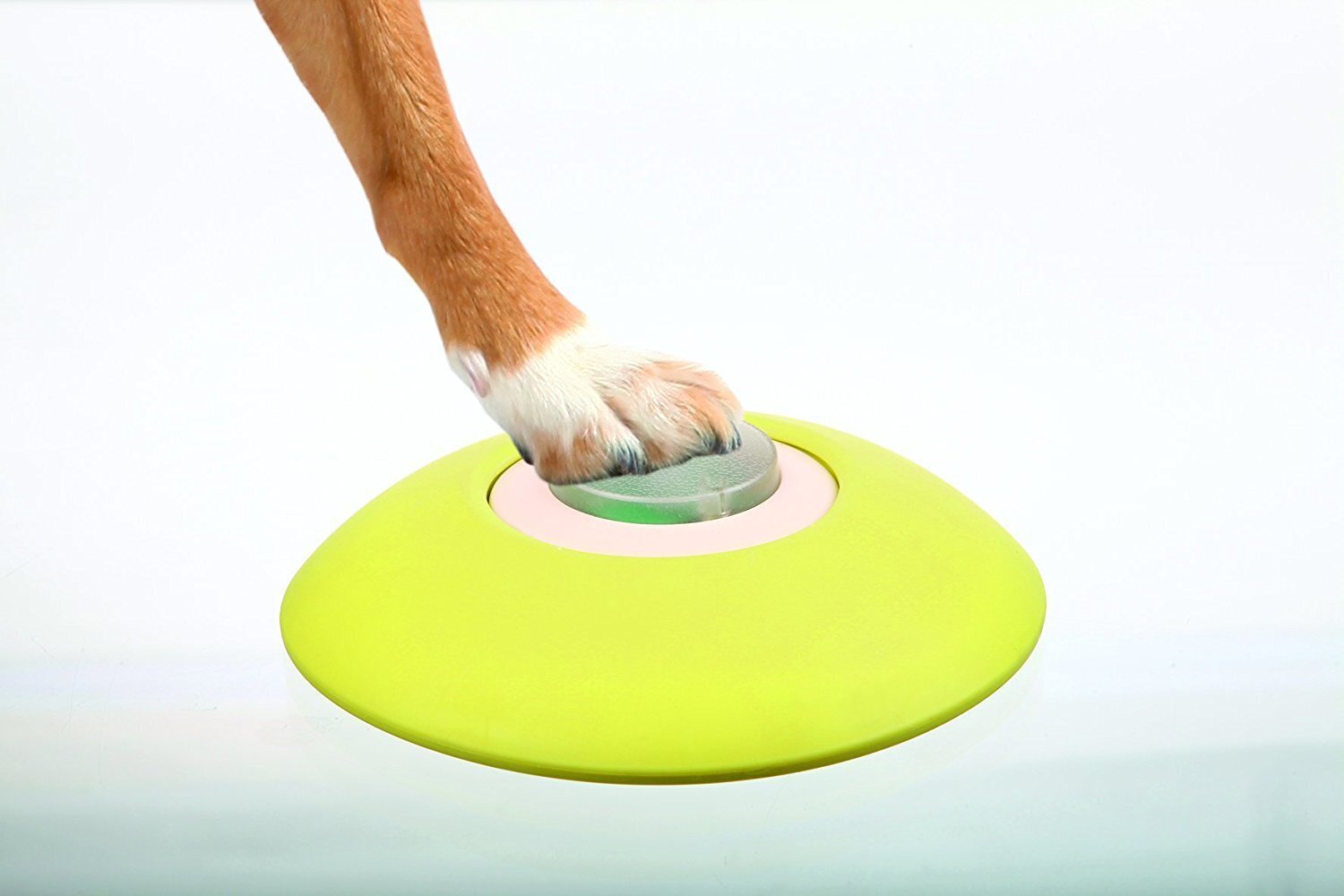 Lelu koirille Trixie Dog Activity Memory Trainer​ hinta ja tiedot | Koiran lelut | hobbyhall.fi