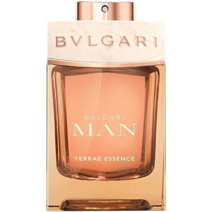 Hajuvesi Bvlgari Man Terrae Essence EDP miehille 100 ml hinta ja tiedot | Miesten hajuvedet | hobbyhall.fi