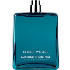 Eau de parfum Costume National Secret Wood EDP miehille 100 ml hinta ja tiedot | Costume National Hajuvedet ja kosmetiikka | hobbyhall.fi