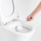 Varaosat ReNew White wc-harja hinta ja tiedot | Kylpyhuoneen sisustus | hobbyhall.fi