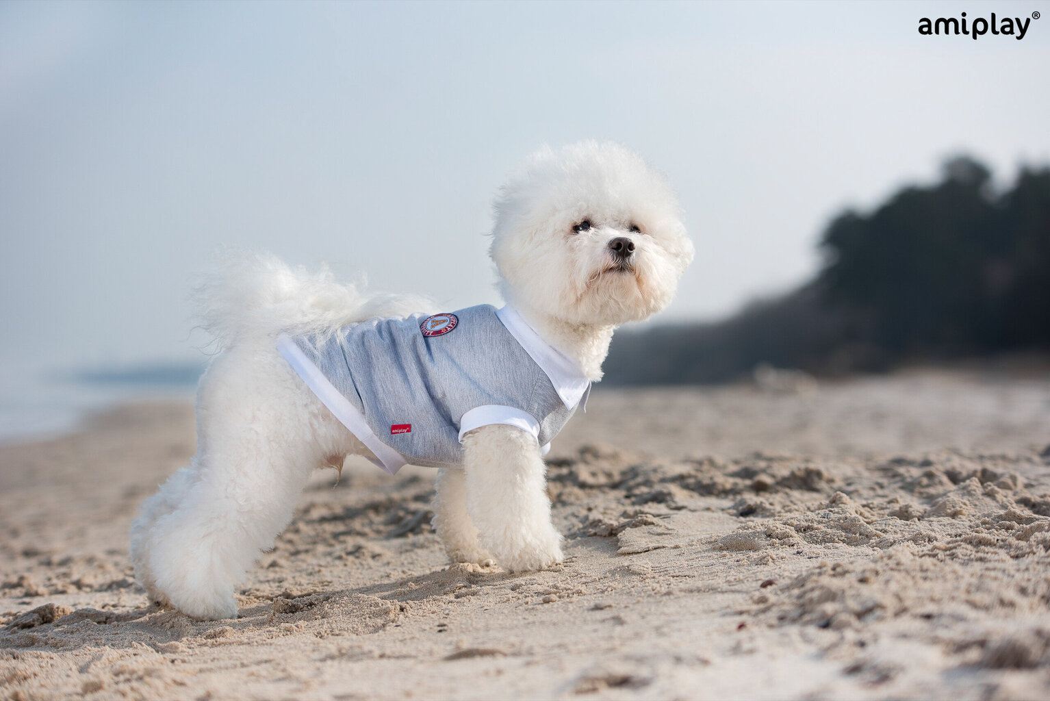 Koiran T-paita Amiplay Polo Oxford Chihuahua, XS, punainen hinta ja tiedot | Koiran vaatteet | hobbyhall.fi