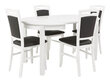 Jatkettava soikea pöytä BRW Roleslaw II, valkoinen hinta ja tiedot | Ruokapöydät | hobbyhall.fi