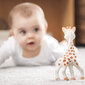 Purulelulahjasetti VULLI, Sophie la girafe So'pure, 616331 hinta ja tiedot | Vauvan lelut | hobbyhall.fi