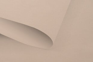 Valonkestävä seinäverho Blackout 110x170 cm, pg-12 hiekka hinta ja tiedot | Rullaverhot | hobbyhall.fi