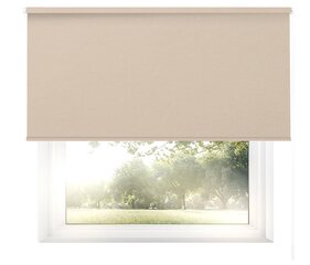 Valonkestävä seinäverho Blackout 120x170 cm, pg-12 beige hinta ja tiedot | Rullaverhot | hobbyhall.fi