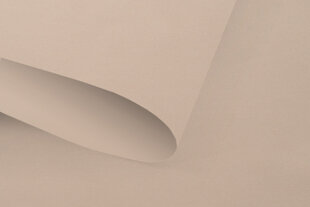 Valonkestävät seinäverhot Blackout 160x170 cm, pg-12 beige hinta ja tiedot | Rullaverhot | hobbyhall.fi