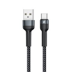 Remax USB - USB Type C -laturi RC-124a hinta ja tiedot | Remax Puhelimet, älylaitteet ja kamerat | hobbyhall.fi