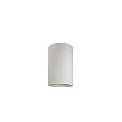 Nowodvorski Lighting valaisinkupoli 8526 Cameleon S valkoinen hinta ja tiedot | Riippuvalaisimet | hobbyhall.fi