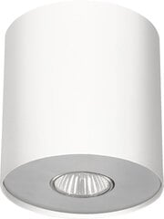 Nowodvorski Lighting kattovalaisin Point I 6001. hinta ja tiedot | Nowodvorski Lighting Piha ja puutarha | hobbyhall.fi