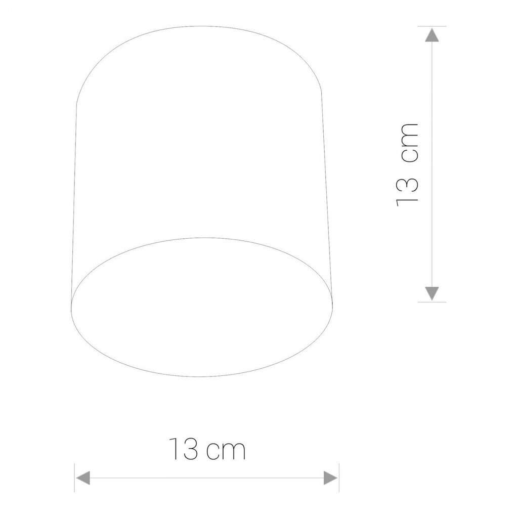 Nowodvorski Lighting kattovalaisin Point 6526. hinta ja tiedot | Kattovalaisimet | hobbyhall.fi