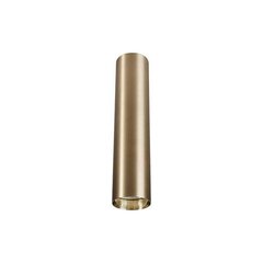 Nowodvorski Lighting kattovalaisin Eye Brass M 8912 hinta ja tiedot | Kattovalaisimet | hobbyhall.fi