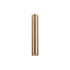 Nowodvorski Lighting kattovalaisin Eye Brass L 8913. hinta ja tiedot | Kattovalaisimet | hobbyhall.fi