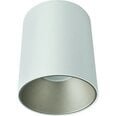 Nowodvorski Lighting kattovalaisin Eye Tone White/Silver 8928