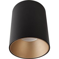 Nowodvorski Lighting kattovalaisin Eye Tone Black/Gold 8931 hinta ja tiedot | Kattovalaisimet | hobbyhall.fi