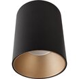 Nowodvorski Lighting kattovalaisin Eye Tone Black/Gold 8931