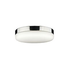 Nowodvorski Lighting valaisin 9490 hinta ja tiedot | Kattovalaisimet | hobbyhall.fi