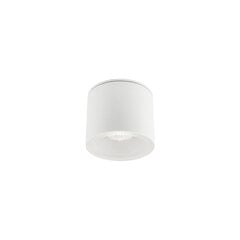 Nowodvorski valaistus 9564. hinta ja tiedot | Nowodvorski Lighting Piha ja puutarha | hobbyhall.fi