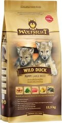 Wolfsblut Wild Duck Large Breed Puppy ankan kanssa, 12,5 kg hinta ja tiedot | Koiran kuivaruoka | hobbyhall.fi