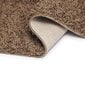 Matto Shaggy Light Cappucino, 60x100 cm hinta ja tiedot | Isot matot | hobbyhall.fi