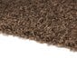 Matto Shaggy Light Cappucino, 60x100 cm hinta ja tiedot | Isot matot | hobbyhall.fi