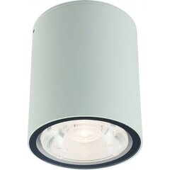 Nowodvorski Lighting valaisin 9108 hinta ja tiedot | Puutarha- ja ulkovalot | hobbyhall.fi