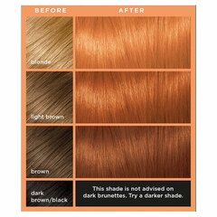 Geeli Hiusten väri L'Oreal Colorista, #RoseGold hinta ja tiedot | Hiusvärit | hobbyhall.fi