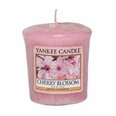 Tuoksukynttilä Yankee Candle Cherry Blossom 49g.