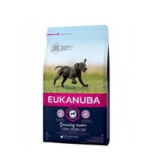 Eukanuba kuivarehu suurten rotujen pennuille alle 12kk, tuore kana, 15 kg hinta ja tiedot | Eukanuba Lemmikit | hobbyhall.fi