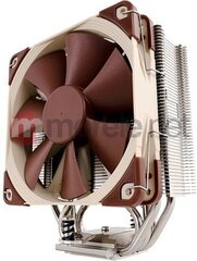 Noctua Premium CPU Cooler with NF-F12 120mm Fan Brown (NH-U12S) hinta ja tiedot | Prosessorin jäähdyttimet | hobbyhall.fi