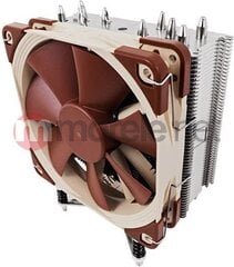 Noctua Noctua i4 -suorittimen jäähdytin Intel Xeon -suorittimen LGA2011-, 1356- ja 1366-alustoille (NH-U12DXi4) hinta ja tiedot | Prosessorin jäähdyttimet | hobbyhall.fi