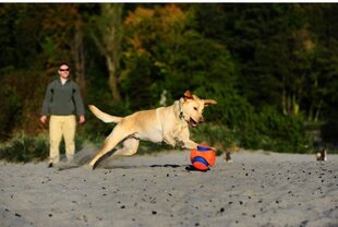 CHUCKIT DOG TOYS BALL KICK FETCH L hinta ja tiedot | Koiran lelut | hobbyhall.fi