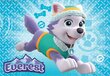 Puzzle 2x24 kpl Paw Patrol (Ryhmä Hau) Skye ja Everest hinta ja tiedot | Palapelit | hobbyhall.fi