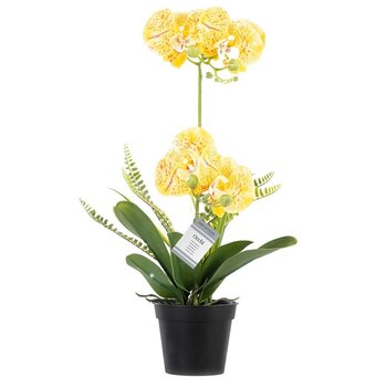 Keinotekoinen orkidea Orchi Honey, 60 cm. hinta ja tiedot | Sisustustuotteet | hobbyhall.fi