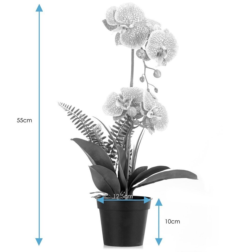 Keinotekoinen orkidea Orchi Powder, 60 cm. hinta ja tiedot | Sisustustuotteet | hobbyhall.fi