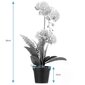 Keinotekoinen orkidea Orchi Powder, 60 cm. hinta ja tiedot | Sisustustuotteet | hobbyhall.fi