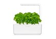 Click & Grow Smart Garden 3 hinta ja tiedot | Sisäpuutarhat ja kasvilamput | hobbyhall.fi