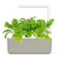 Click & Grow Smart Garden 3 hinta ja tiedot | Sisäpuutarhat ja kasvilamput | hobbyhall.fi