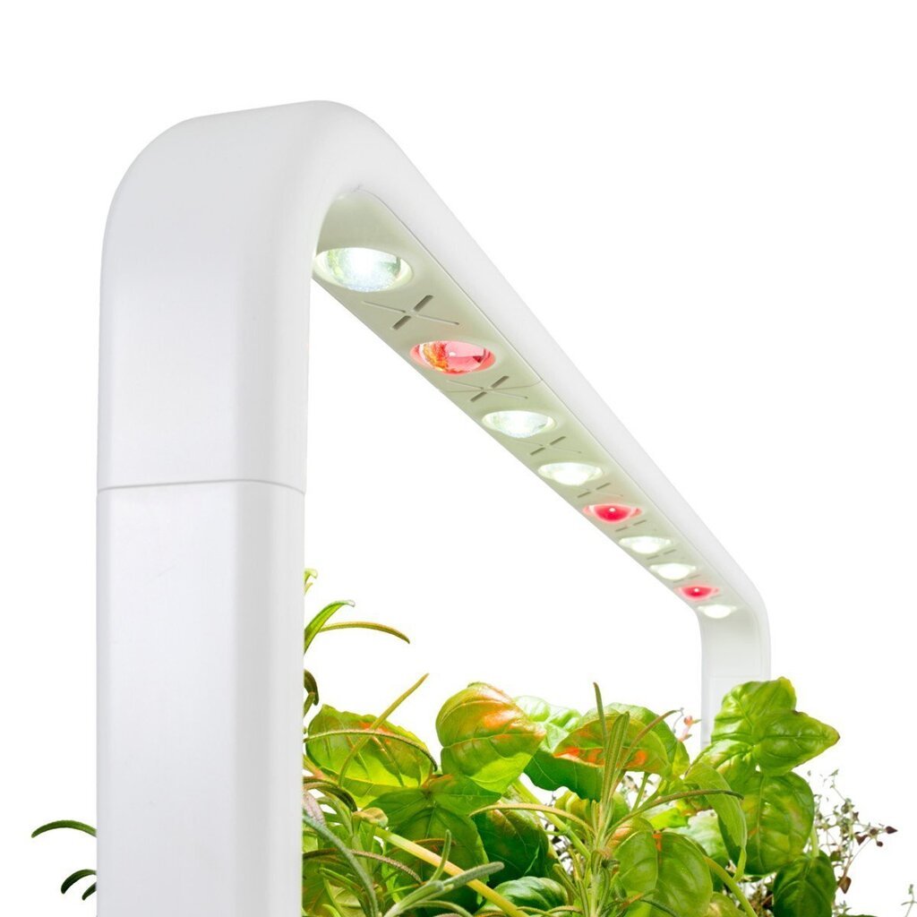 Click & Grow Smart Garden 9 hinta ja tiedot | Sisäpuutarhat ja kasvilamput | hobbyhall.fi