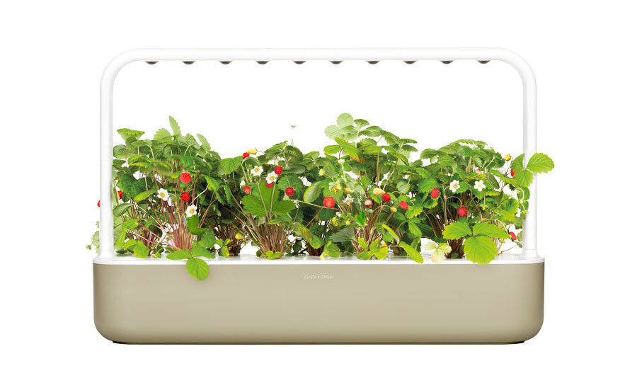 Click & Grow Smart Garden 9 hinta ja tiedot | Sisäpuutarhat ja kasvilamput | hobbyhall.fi