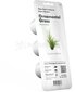 Click & Grow Smart Refill Koristeheinä 3kpl hinta ja tiedot | Sisäpuutarhat ja kasvilamput | hobbyhall.fi