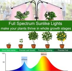 Trayvespace T-4 LED-lamppu kasveille hinta ja tiedot | Sisäpuutarhat ja kasvilamput | hobbyhall.fi