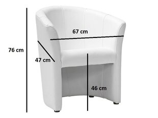 Nojatuoli Tm-1, valkoinen hinta ja tiedot | Nojatuolit | hobbyhall.fi