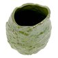 Kukkamaljakko My Home Tropical, vihreä, 12,6 x 10,3 x 20,4 cm. hinta ja tiedot | Maljakot | hobbyhall.fi