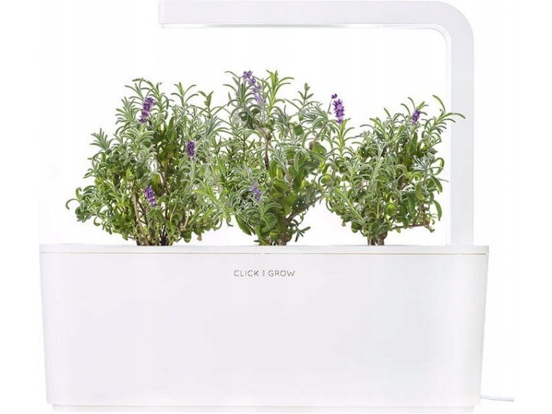 Click & Grow SGR30X3, laventeli hinta ja tiedot | Sisäpuutarhat ja kasvilamput | hobbyhall.fi