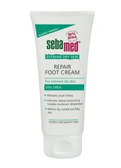 SEBAMED Extreme Dry Skin Repair Foot Cream 100ml hinta ja tiedot | Vartalovoiteet ja -emulsiot | hobbyhall.fi