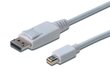 Kaapeli Assmann DisplayPort, mini DP - DP M / M, 1 m hinta ja tiedot | Kaapelit ja adapterit | hobbyhall.fi