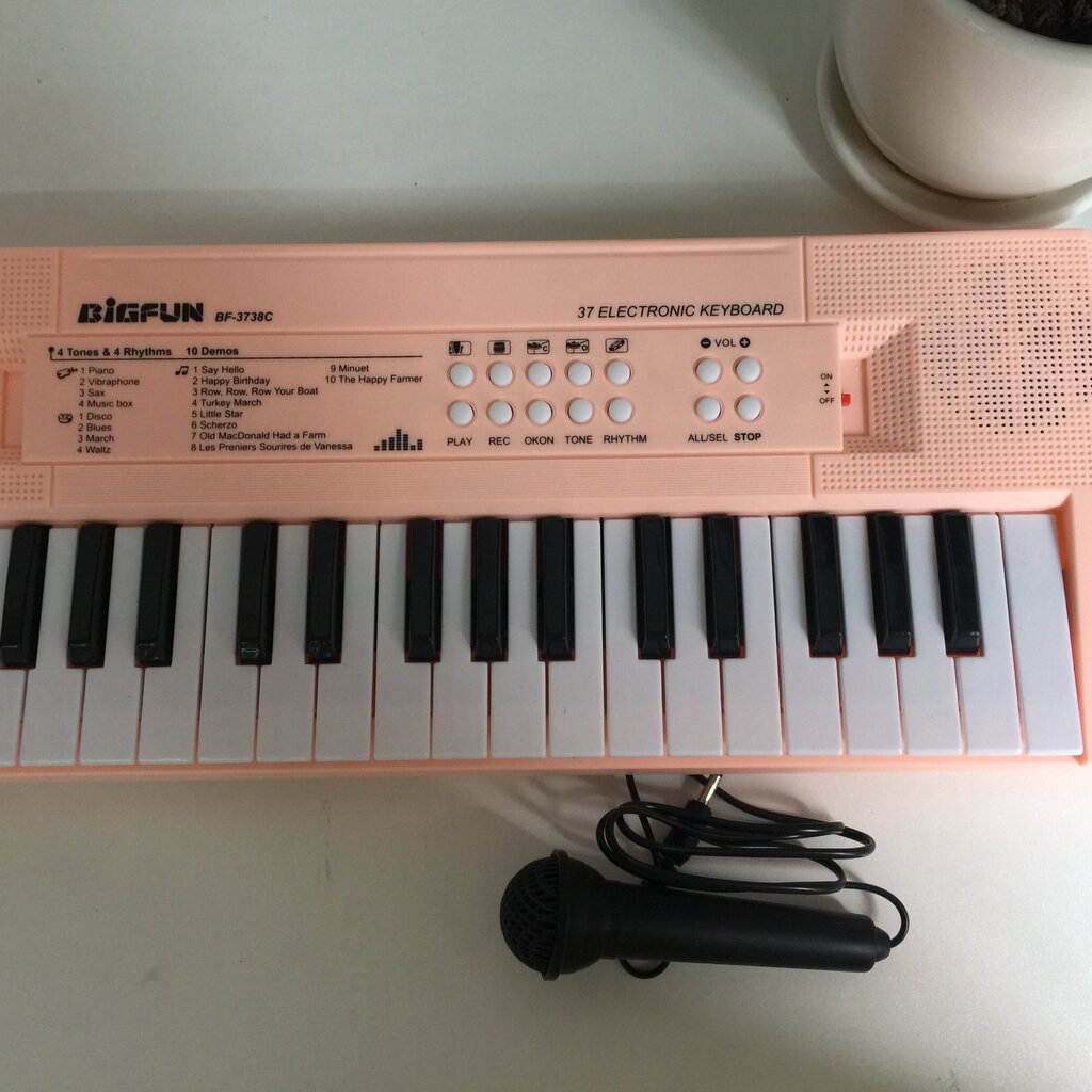 Lasten 37-näppäimen elektroninen koskettimisto mikrofonilla - Interaktiivinen Montessori-musiikkilelu hinta ja tiedot | Soittimien lisätarvikkeet | hobbyhall.fi