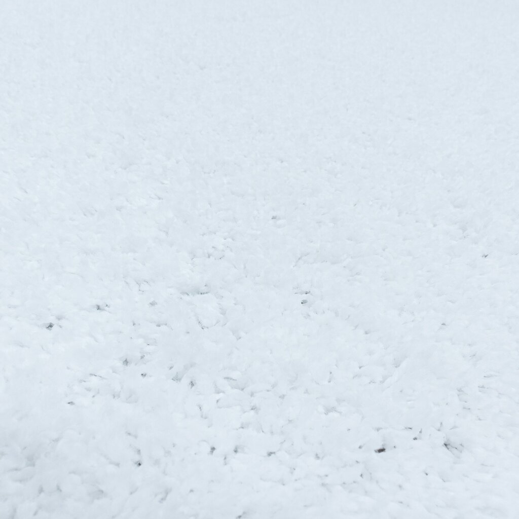 Ayyildiz Shaggy Sydney Pyöreä -matto, valkoinen, Ø 160 cm hinta ja tiedot | Isot matot | hobbyhall.fi